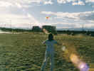 Kite Flying Koko